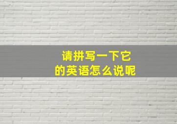 请拼写一下它的英语怎么说呢