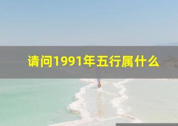 请问1991年五行属什么