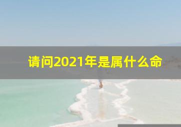 请问2021年是属什么命