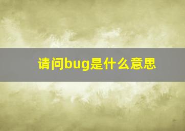 请问bug是什么意思