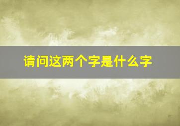 请问这两个字是什么字