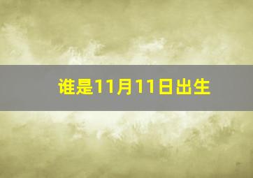 谁是11月11日出生