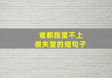 谁都指望不上很失望的短句子