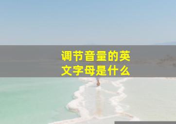 调节音量的英文字母是什么