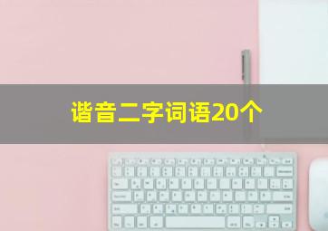 谐音二字词语20个