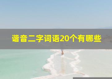 谐音二字词语20个有哪些