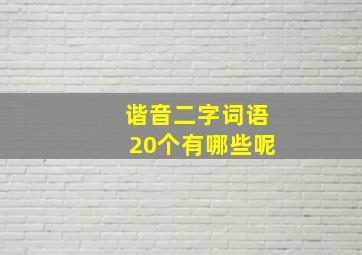 谐音二字词语20个有哪些呢