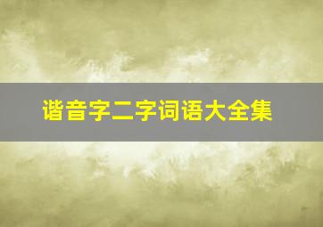 谐音字二字词语大全集