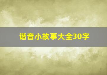 谐音小故事大全30字