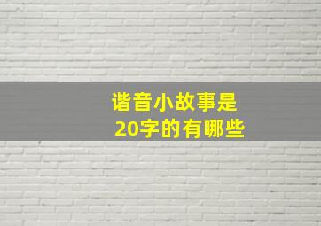 谐音小故事是20字的有哪些