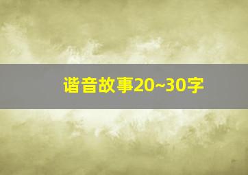 谐音故事20~30字