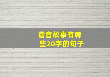 谐音故事有哪些20字的句子