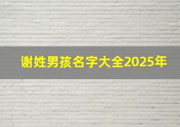 谢姓男孩名字大全2025年