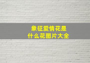 象征爱情花是什么花图片大全