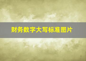 财务数字大写标准图片