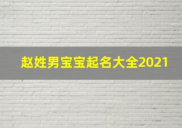 赵姓男宝宝起名大全2021