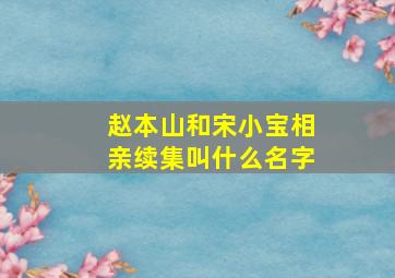 赵本山和宋小宝相亲续集叫什么名字