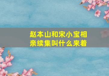 赵本山和宋小宝相亲续集叫什么来着