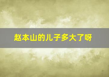 赵本山的儿子多大了呀