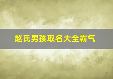 赵氏男孩取名大全霸气