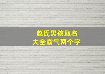 赵氏男孩取名大全霸气两个字