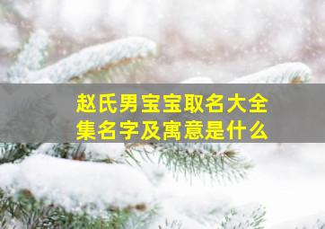 赵氏男宝宝取名大全集名字及寓意是什么