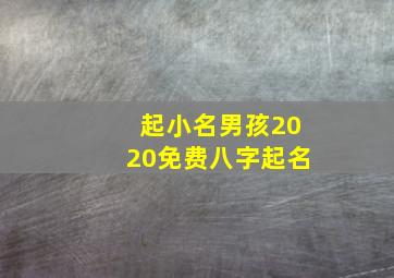 起小名男孩2020免费八字起名