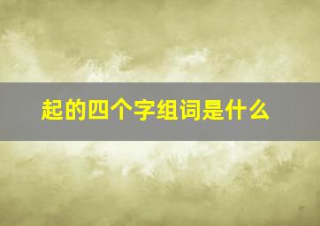 起的四个字组词是什么