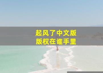 起风了中文版版权在谁手里