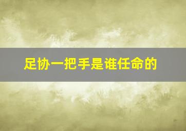 足协一把手是谁任命的