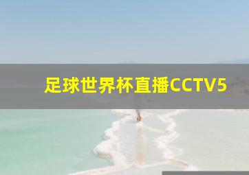 足球世界杯直播CCTV5