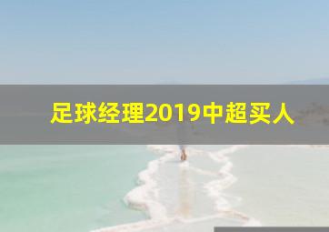 足球经理2019中超买人