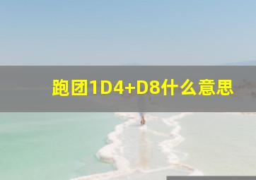 跑团1D4+D8什么意思