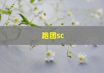 跑团sc