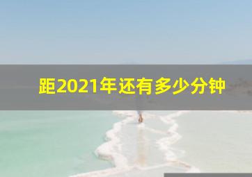 距2021年还有多少分钟