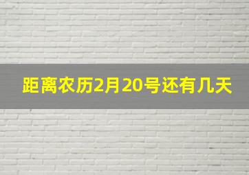 距离农历2月20号还有几天