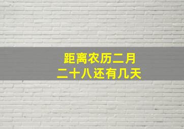 距离农历二月二十八还有几天