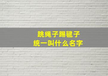 跳绳子踢毽子统一叫什么名字