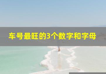 车号最旺的3个数字和字母