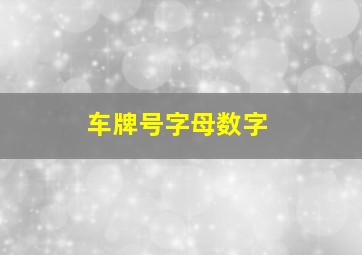 车牌号字母数字