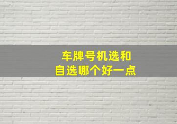 车牌号机选和自选哪个好一点