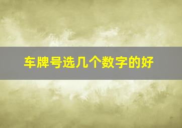 车牌号选几个数字的好