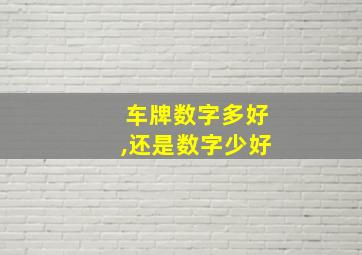 车牌数字多好,还是数字少好