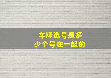 车牌选号是多少个号在一起的