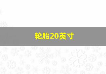 轮胎20英寸