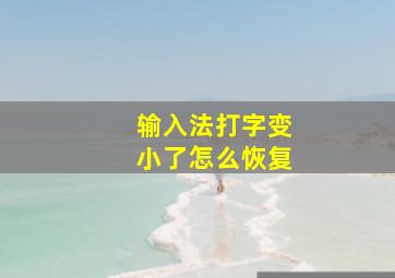 输入法打字变小了怎么恢复