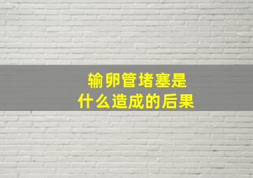 输卵管堵塞是什么造成的后果