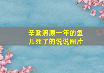 辛勤照顾一年的鱼儿死了的说说图片