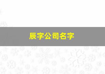 辰字公司名字