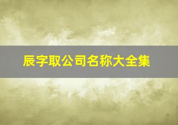 辰字取公司名称大全集